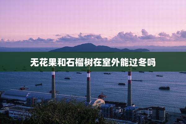 无花果和石榴树在室外能过冬吗