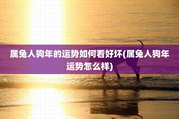属兔人狗年的运势如何看好坏(属兔人狗年运势怎么样)