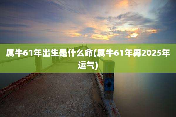 属牛61年出生是什么命(属牛61年男2025年运气)