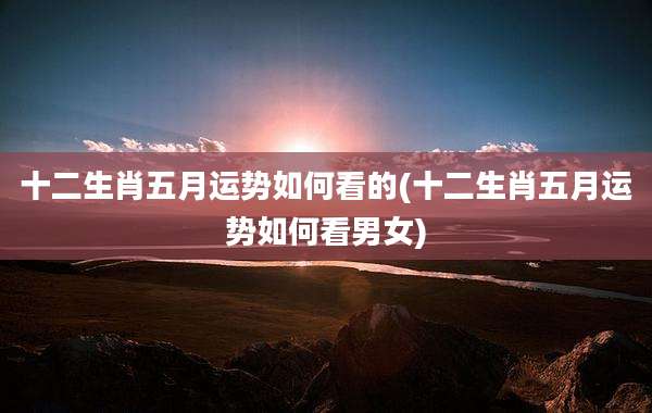 十二生肖五月运势如何看的(十二生肖五月运势如何看男女)