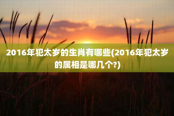 2016年犯太岁的生肖有哪些(2016年犯太岁的属相是哪几个?)