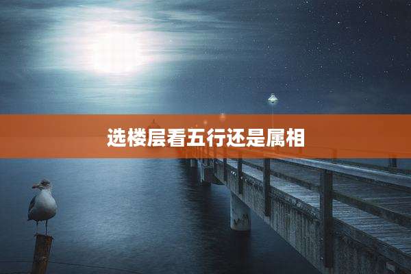 选楼层看五行还是属相