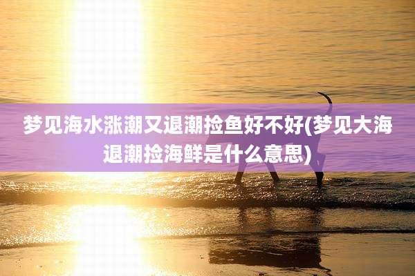 梦见海水涨潮又退潮捡鱼好不好(梦见大海退潮捡海鲜是什么意思)