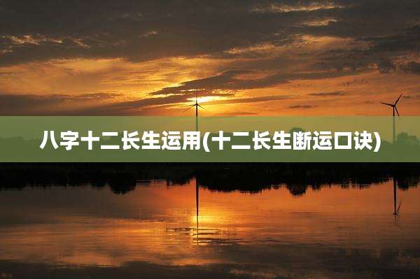 八字十二长生运用(十二长生断运口诀)