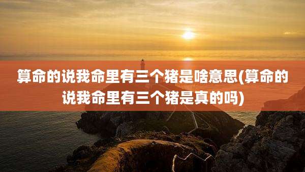 算命的说我命里有三个猪是啥意思(算命的说我命里有三个猪是真的吗)