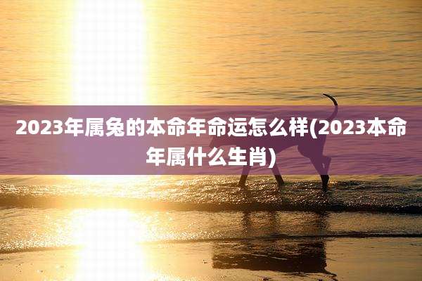 2023年属兔的本命年命运怎么样(2023本命年属什么生肖)