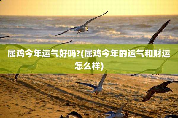 属鸡今年运气好吗?(属鸡今年的运气和财运怎么样)