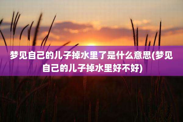 梦见自己的儿子掉水里了是什么意思(梦见自己的儿子掉水里好不好)