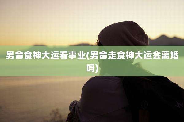 男命食神大运看事业(男命走食神大运会离婚吗)