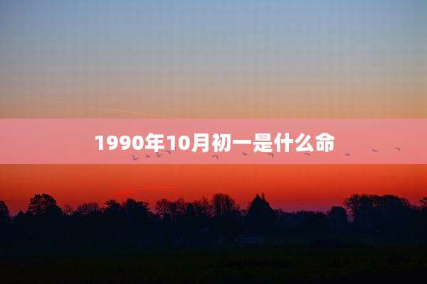1990年10月初一是什么命