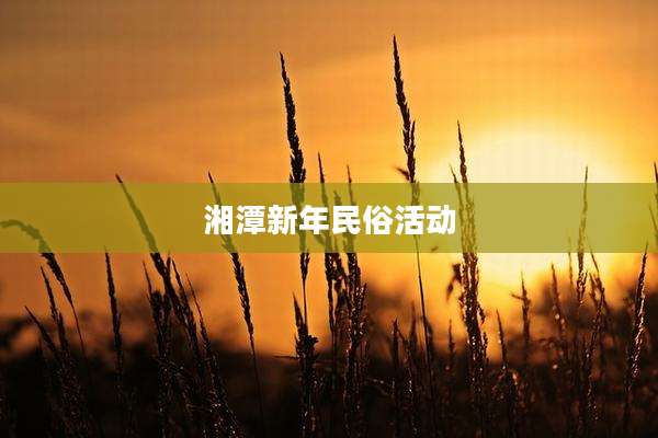 湘潭新年民俗活动