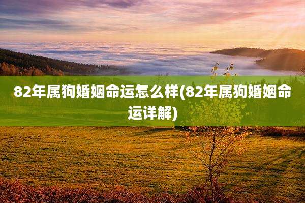 82年属狗婚姻命运怎么样(82年属狗婚姻命运详解)