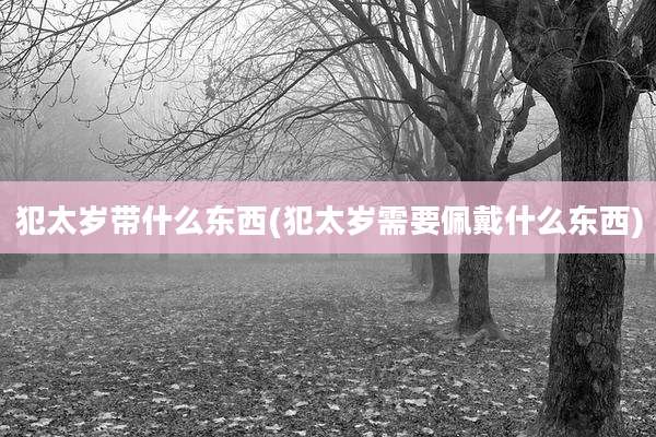 犯太岁带什么东西(犯太岁需要佩戴什么东西)