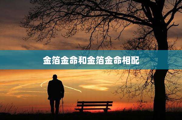 金箔金命和金箔金命相配