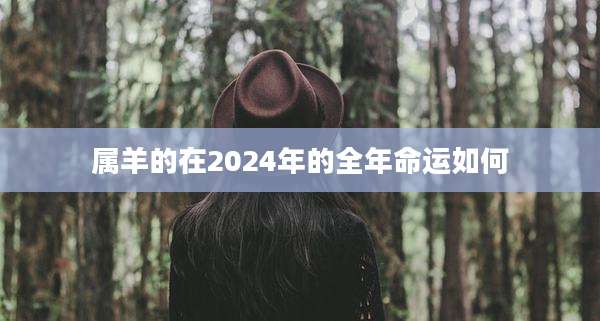 属羊的在2024年的全年命运如何