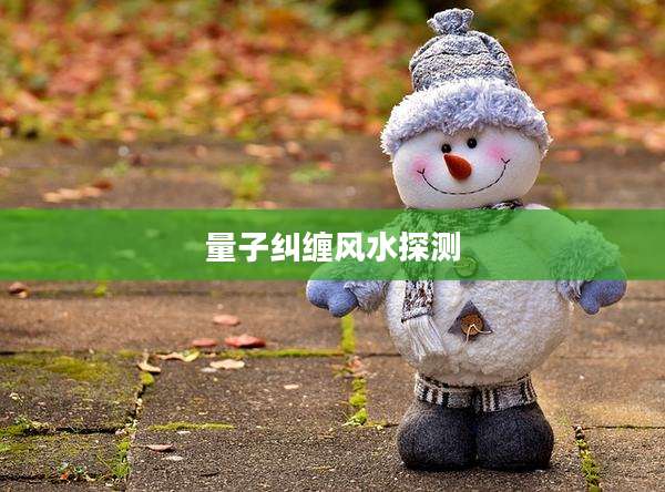 量子纠缠风水探测