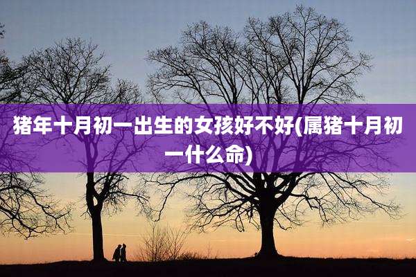 猪年十月初一出生的女孩好不好(属猪十月初一什么命)