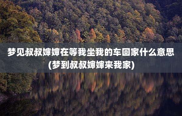 梦见叔叔婶婶在等我坐我的车回家什么意思(梦到叔叔婶婶来我家)