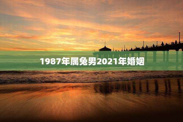 1987年属兔男2021年婚姻
