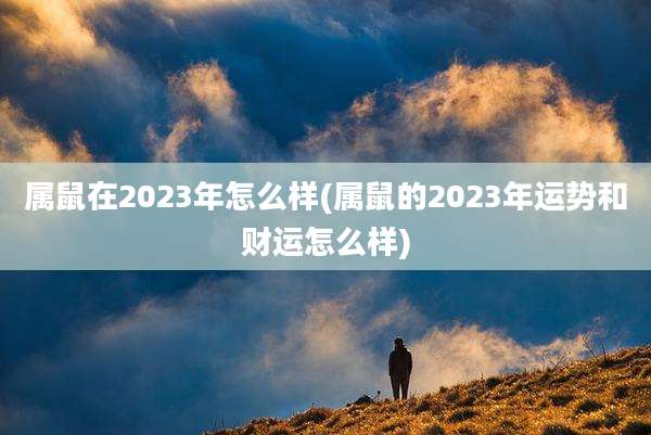 属鼠在2023年怎么样(属鼠的2023年运势和财运怎么样)
