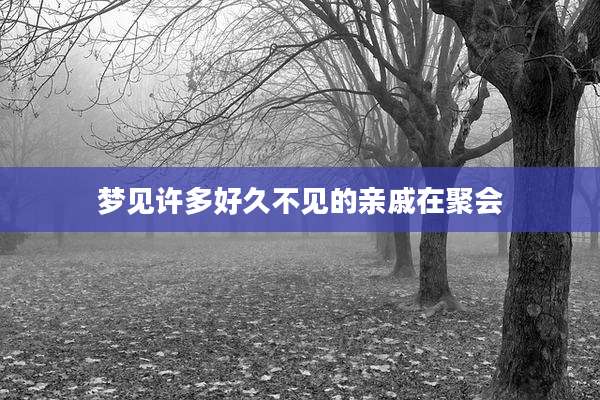 梦见许多好久不见的亲戚在聚会