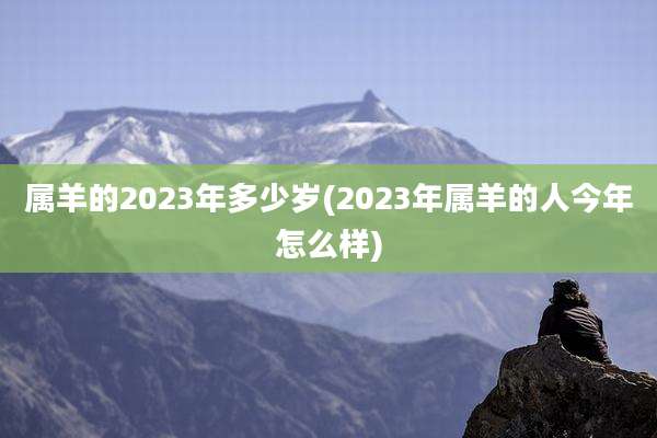 属羊的2023年多少岁(2023年属羊的人今年怎么样)