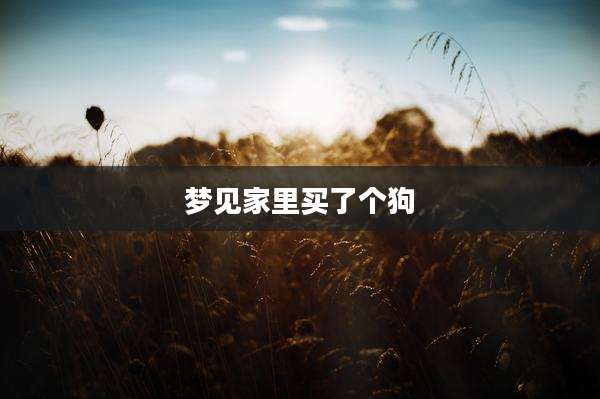 梦见家里买了个狗