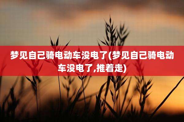 梦见自己骑电动车没电了(梦见自己骑电动车没电了,推着走)
