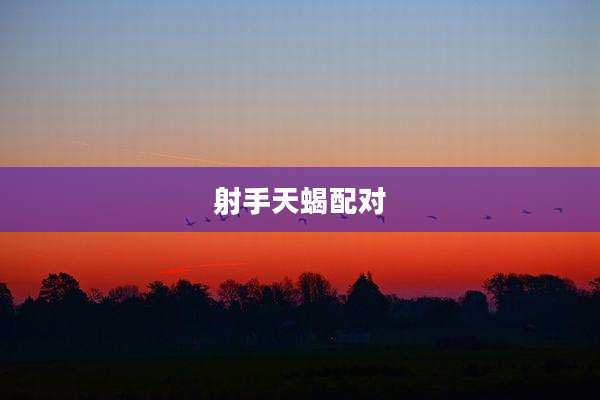 射手天蝎配对