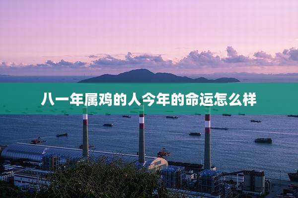 八一年属鸡的人今年的命运怎么样