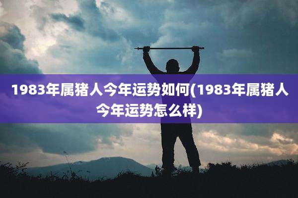 1983年属猪人今年运势如何(1983年属猪人今年运势怎么样)