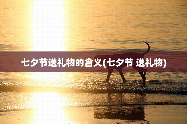 七夕节送礼物的含义(七夕节 送礼物)
