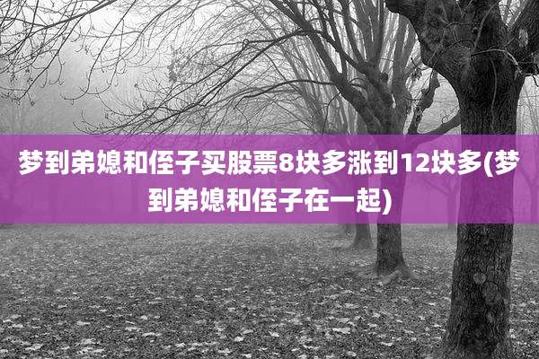 梦到弟媳和侄子买股票8块多涨到12块多(梦到弟媳和侄子在一起)