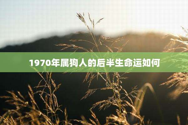 1970年属狗人的后半生命运如何