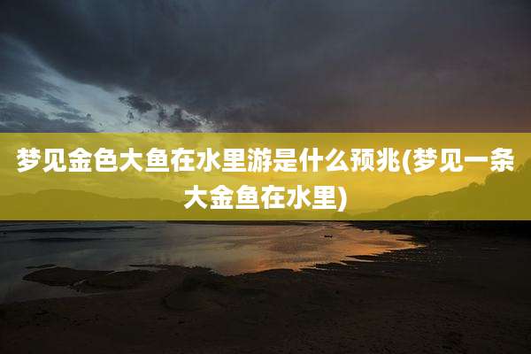 梦见金色大鱼在水里游是什么预兆(梦见一条大金鱼在水里)