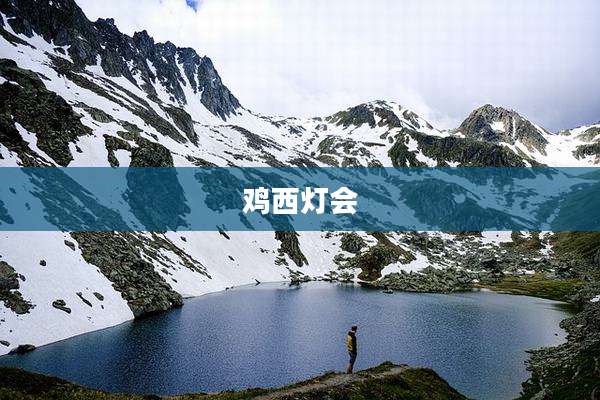 鸡西灯会