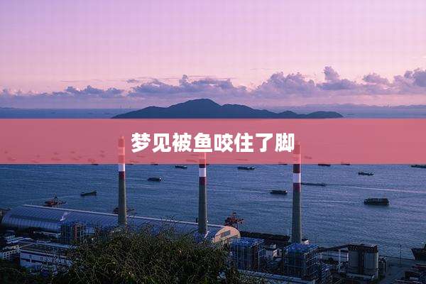 梦见被鱼咬住了脚