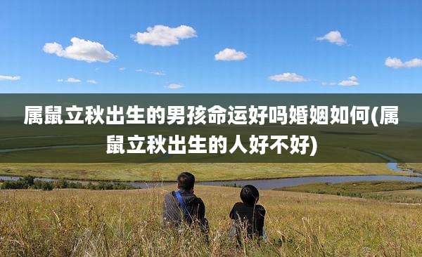 属鼠立秋出生的男孩命运好吗婚姻如何(属鼠立秋出生的人好不好)