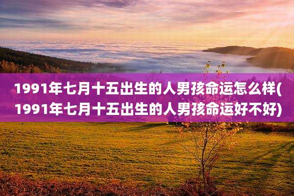 1991年七月十五出生的人男孩命运怎么样(1991年七月十五出生的人男孩命运好不好)