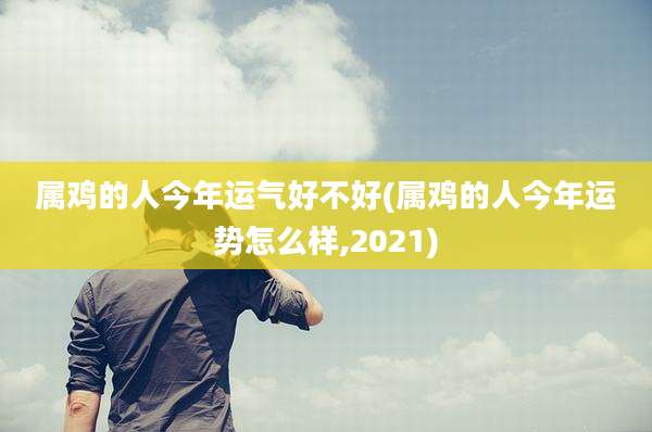 属鸡的人今年运气好不好(属鸡的人今年运势怎么样,2021)