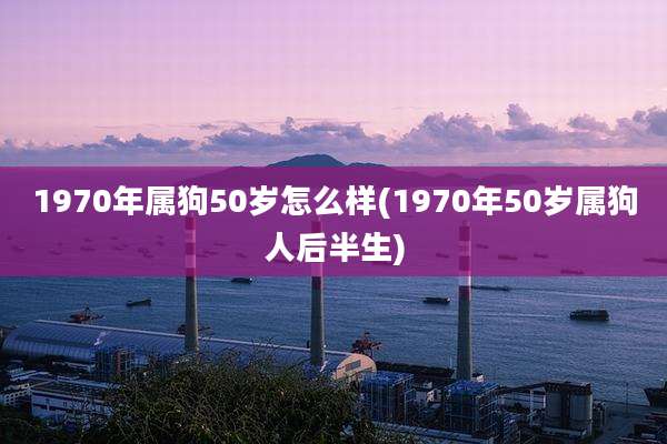 1970年属狗50岁怎么样(1970年50岁属狗人后半生)