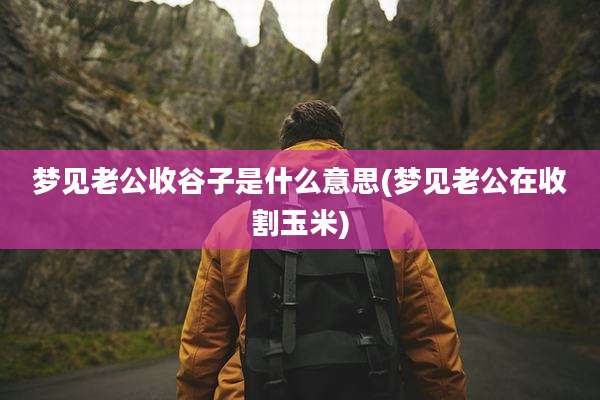 梦见老公收谷子是什么意思(梦见老公在收割玉米)