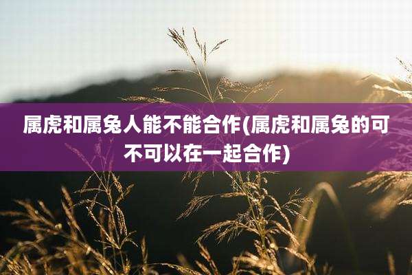 属虎和属兔人能不能合作(属虎和属兔的可不可以在一起合作)