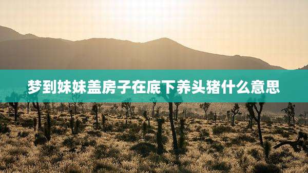梦到妹妹盖房子在底下养头猪什么意思