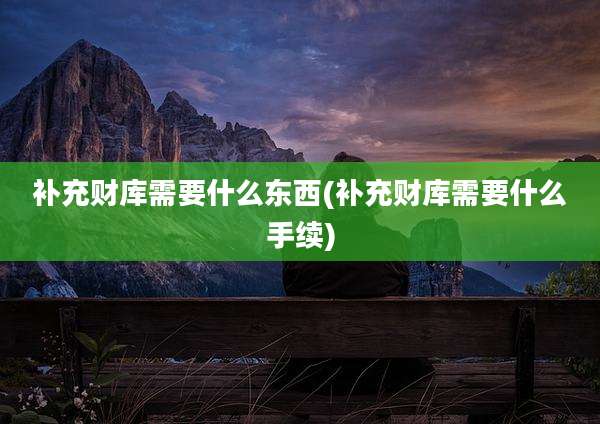 补充财库需要什么东西(补充财库需要什么手续)