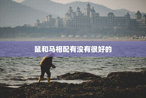 鼠和马相配有没有很好的