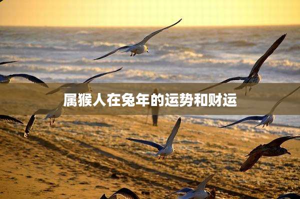 属猴人在兔年的运势和财运