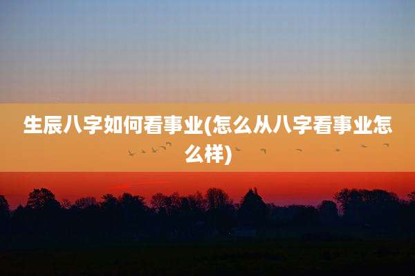 生辰八字如何看事业(怎么从八字看事业怎么样)