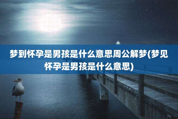 梦到怀孕是男孩是什么意思周公解梦(梦见怀孕是男孩是什么意思)