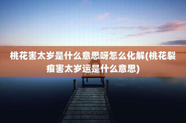 桃花害太岁是什么意思呀怎么化解(桃花裂痕害太岁运是什么意思)